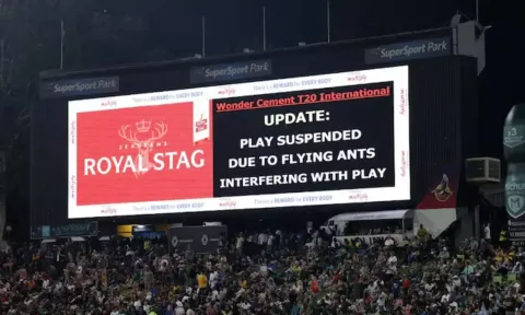 5 Instances when play was stopped due to weird reasons