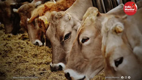 Cow Slaughter & Cattle Smuggling: Nearly 6,000 Booked, Crores Seized in UP
