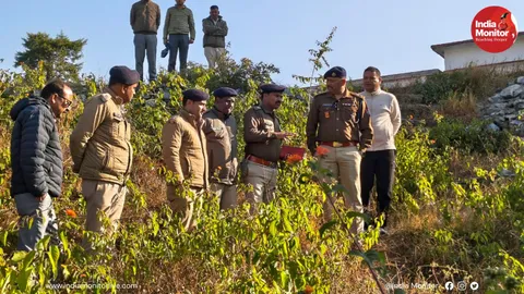 Gelatin sticks found near school in Uttarakhand's Almora, investigation underway