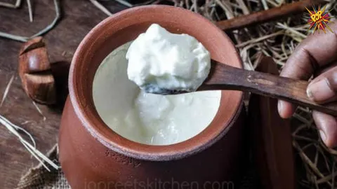 Ayurvedic Analysis: Why Curd is Considered Hot in Nature