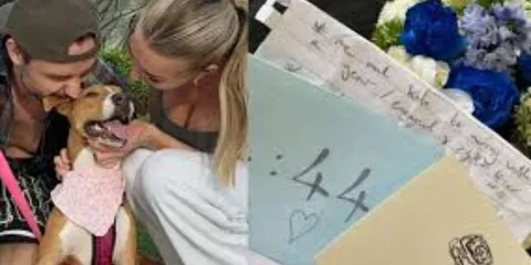 Check Out Liam Payne's Girlfriend Kate's First Post After His Death!