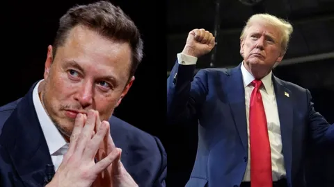 Elon Musk Phenomenon: Shaping Democracy Through Wealth and Influence