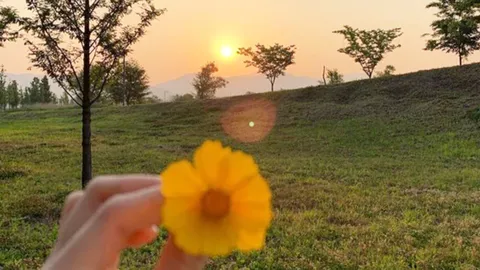 Life Is Short and Death Is Uncertain: Enjoy Every Moment