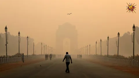 Experts At COP29 Climate Summit Urge India to Handle Its Air Pollution