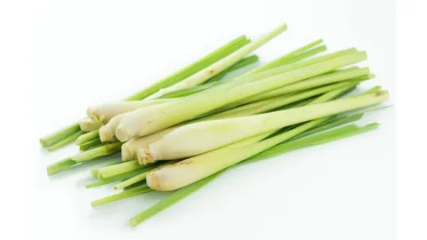 Reasons Lemongrass Tea Should Be A Part of Your Routine!