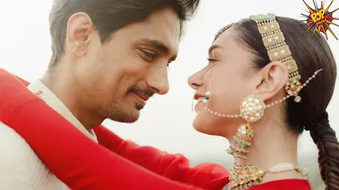 Watch: Aditi Rao Hydari And Siddharth's Pics From The Royal Wedding