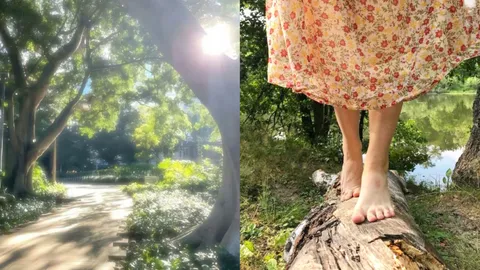 In Search of Peace: How Mindfulness Is Transforming Urban Living