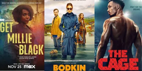 Most Underrated Tv Shows Of 2024 That You Might Have Missed!