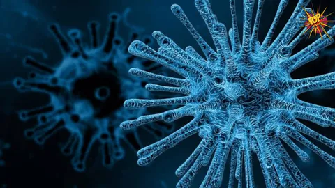 Covid Like Virus Spreads Rapidly In China In 2025