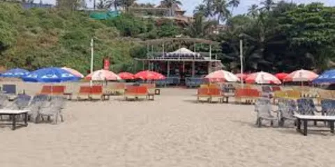 Goa's Tourism Minister Criticised Social Media Influencers For This!