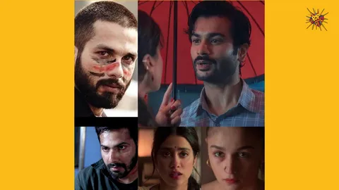 Sunny Kaushal to Alia Bhatt: Grey Characters We Fell In Love With