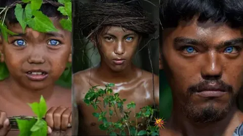 The Buton Tribe's Electric Blue Eyes: A Rare Genetic Story