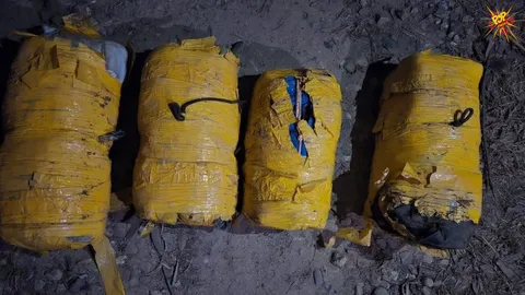 Punjab police captures  major heroin smuggling racket, seize 30 kg of drugs