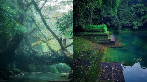 Explore Mawsynram: A City Where Rainfall Never Stops, Year-Round