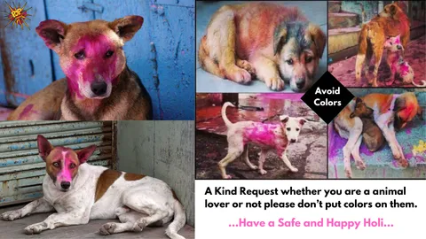 Safe ways to celebrate Animal Friendly Holi