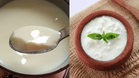 Is the Market-Available Packaged Curd Safe for Consumption? Know Here