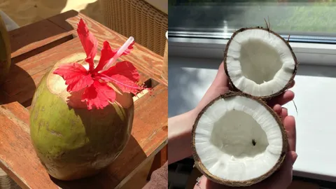 Coconut's Spiritual Significance: Exploring the Term 'Shri Fal' in Indian Culture