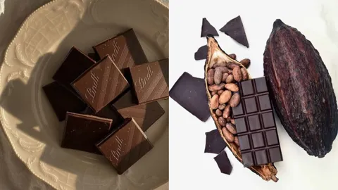 Dark Chocolate: A Tasty Indulgence Offering Important Health Benefits and Nutrients