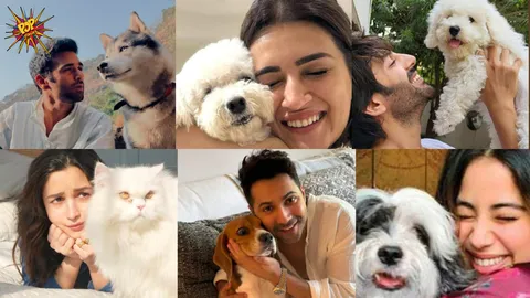 Paws & Fame: On National Pet Day, Here let's Have a Look At Bollywood Celebs Who Are Proud Pet Parents