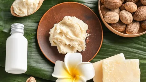 Shea Butter: The Natural Solution to Soothe and Restore Cracked Skin