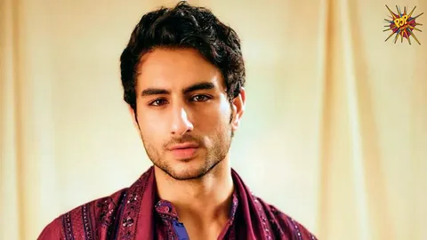 Ibrahim Ali Khan on nepotism and stardom