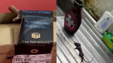 Shocking: Snake in Amazon Package & Dead Rat in Hershey's Syrup: Watch