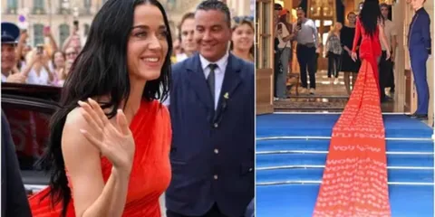 Katy Perry Goes Viral For Her Mind-blowing Dress That Can Be Seen Even After She's Left The Room