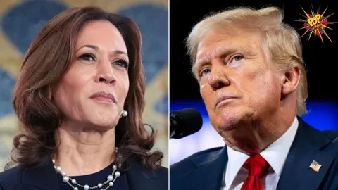 Jill Stein: Trump and Harris Are Both Unacceptable