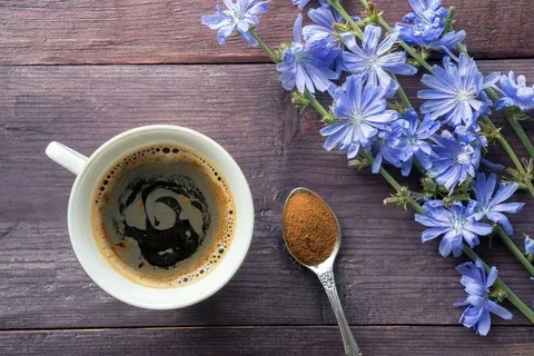 Transformative Effects of Chicory Root Powder in Milk Versus Coffee