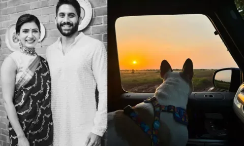 From Rumours Of Samantha Ruth Prabhu And Naga Chaitanya Getting Back Together To Shehnaaz Gill Getting Hospitalised, Here Are Some Of The Latest B-Town Gossips!