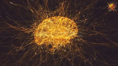 The Brain's Dynamic Self-Optimization