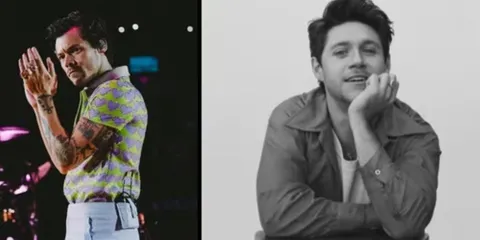 Harry Styles' Attendance At Niall Horan's Concert Made Fans Go Wild!