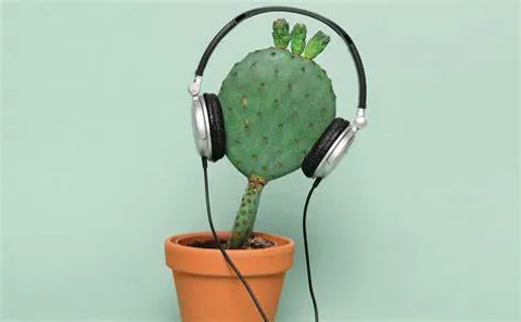 Secret Conversations: How Plants Communicate and Why We Should Listen'