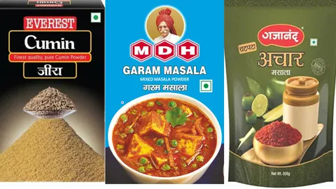 "Rajasthan Food Department Detects Pesticides and Insecticides in MDH and Everest Samples"