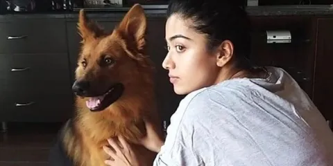 Rashmika Mandanna Mourns The Death Of Her Pet