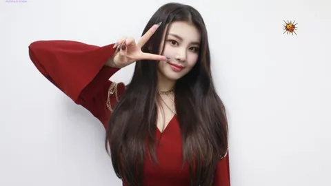 Purple Kiss' Swan Sassily Shuts Down A Hate Comment