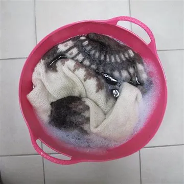 How to Safely Wash Your Winter Woollens in a Washing Machine: Expert Tips and Tricks