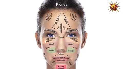 Chinese Face Mapping: What Acne Spots On Your Face Mean