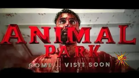 'Animal 2' Update: As Script Takes Shape Ranbir Kapoor Set to Begin Shoot in 2025!