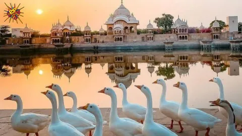 Rejuvenate Your Spirit: Experience Life in Vrindavan