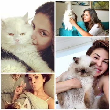Jacqueline Fernandez to Zareen Khan: Celebrating Cat Moms on International Cat Day