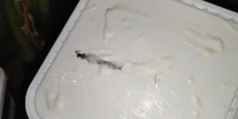 Shocking News: Noida Women Discovers This Inside The Ice Cream She Ordered Online