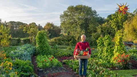 Urban Gardening: A Comprehensive Guide
