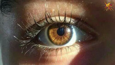The Allure of Brown Eyes: Why They Make People Look So Adorable