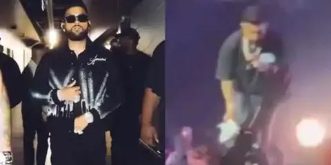 Watch: Tauba Tauba Singer Angrily Pauses His London Concert After This