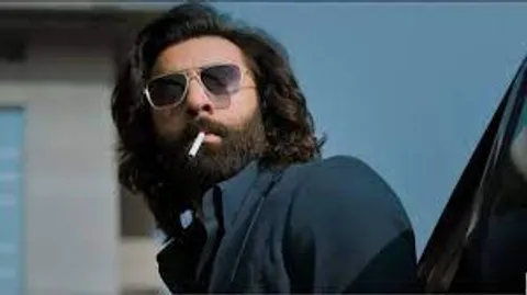 An Absolute Disaster: Senior cricketer called 'Animal' film a disgrace