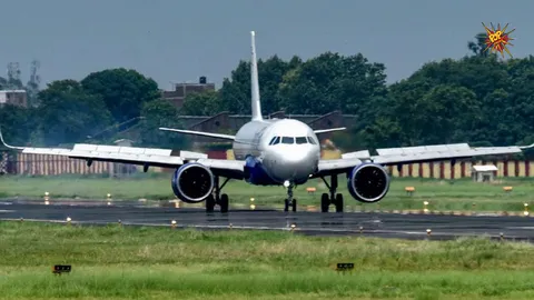 Plane Forced to Make Emergency Landing After Live Mouse Found in Meal