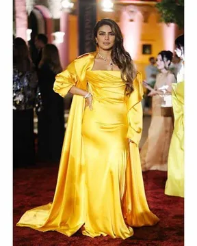 Priyanka Chopra Turns 41: A Look At Her Early Hollywood Journey; Loneliness and Struggle Marked by a Dark Phase of Isolation