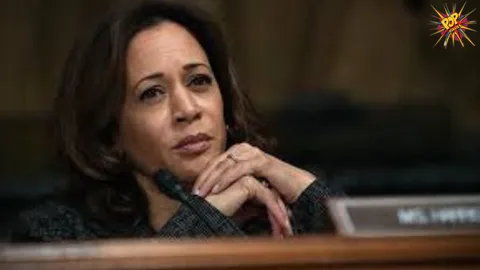 Kamala Harris Reacts to Gaza Demonstrations During Rally