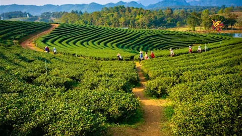 Top 5 Hidden Gems of East India: Details Inside